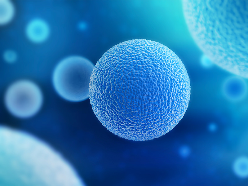 Cells at Microscopic Level